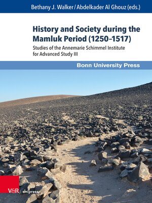 cover image of History and Society during the Mamluk Period (1250–1517)